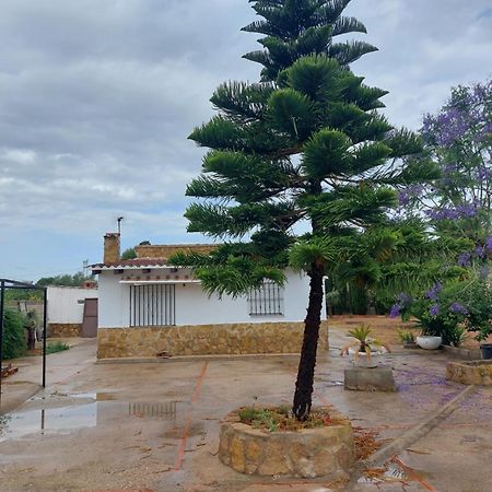 Les Berreries Villa Montroy Eksteriør billede